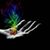 Darlene Wareham's profile image
