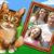 Sherry Swiger's profile image