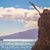 NikkiRose Lam's profile image