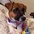 Jo Peters's profile image