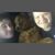 Norma Jean Christ's profile image