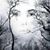 Ruth Ware-keller's profile image