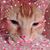 Merri Johnson's profile image