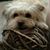 Brenda Kohler-Sterling's profile image