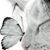 Linda Heinrichs's profile image