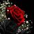 Rachel Vann-Troyer's profile image