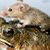Mary-Anne Martin's profile image