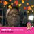Mary Candy James's profile image