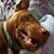 Ingrid Donaldson's profile image