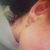 Trisha Hurlburt's profile image