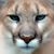 Audra Evans's profile image
