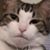 Josh Platt's profile image