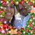 Roberto Sanchez's profile image