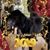 Mary Rau Ripley's profile image
