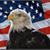 David Salers's profile image