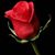 Insley Caro's profile image