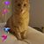 Amy Penny's profile image