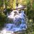 Brodey Hill's profile image