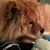 Valerie Gilb's profile image