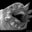 Louise Hohorst's profile image