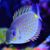 Arnel Ilog's profile image
