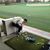 Jerry Chen's profile image
