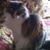 Steve R. Ealy Sr's profile image