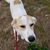 Cyntra Sue Brandon Chambers's profile image