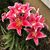 Linda Gray's profile image