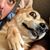 Michael Esposito's profile image