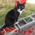 Bonnie Knudsen's profile image