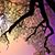 Bella Sparkles's profile image