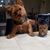 Susie Carlile's profile image