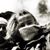 Toma Nava's profile image