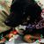 Monee DelCid Ciesielski's profile image