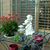 Donna Badet's profile image