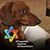 Kelley Craft Morris's profile image