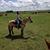 Sheila Thorstenson's profile image