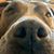Sylvia Fernandes's profile image