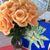 Janet Daugherty Parrack's profile image
