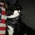 Rose-Marie Revelj's profile image