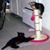 Karen Thompson's profile image