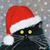 Karen Hare O'Neal's profile image