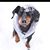 Renee Zemke's profile image