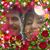 Danica Guzman's profile image
