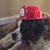 Mitch Moehling's profile image