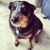 Don Dulin Jr.'s profile image