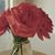Bhavisha Patel's profile image