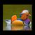 Kerry Anzollitto's profile image