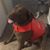 Polli Rayburn's profile image